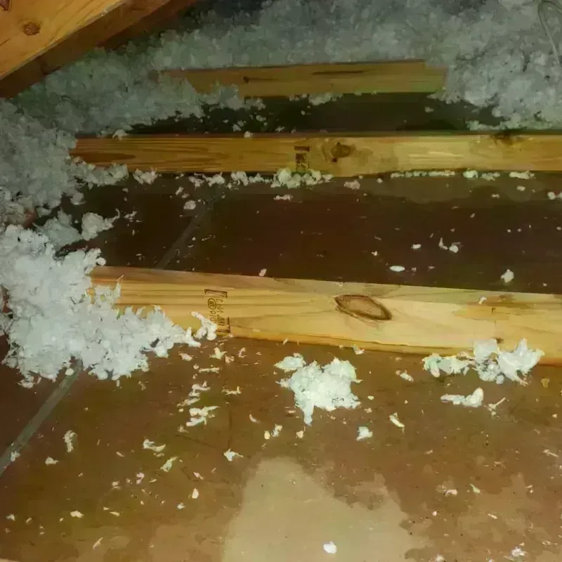 Attic Water Damage in Monroeville, OH