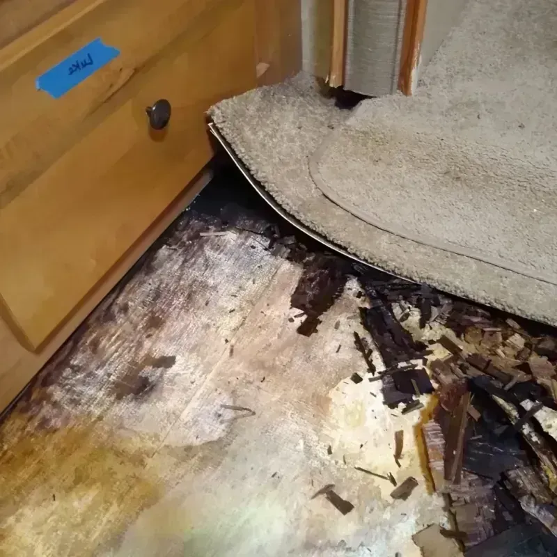 Wood Floor Water Damage in Monroeville, OH